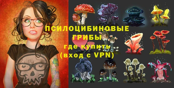 бошки Надым