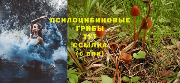 бошки Надым