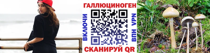Галлюциногенные грибы MAGIC MUSHROOMS  Обнинск 